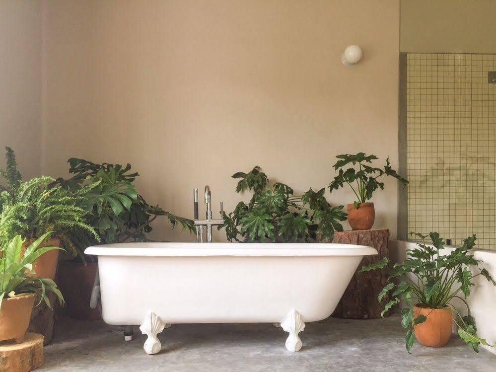 Chaya B&B Boutique Мехико Экстерьер фото